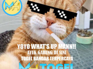 Link Login MHTOGEL Terpercaya – Langsung ke Akun Anda